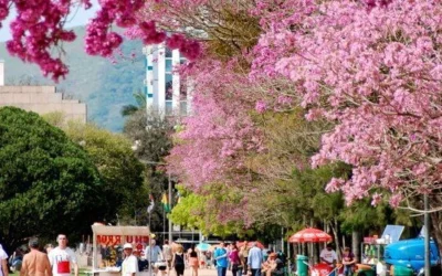 Parque Farroupilha, Porto Alegre, RS